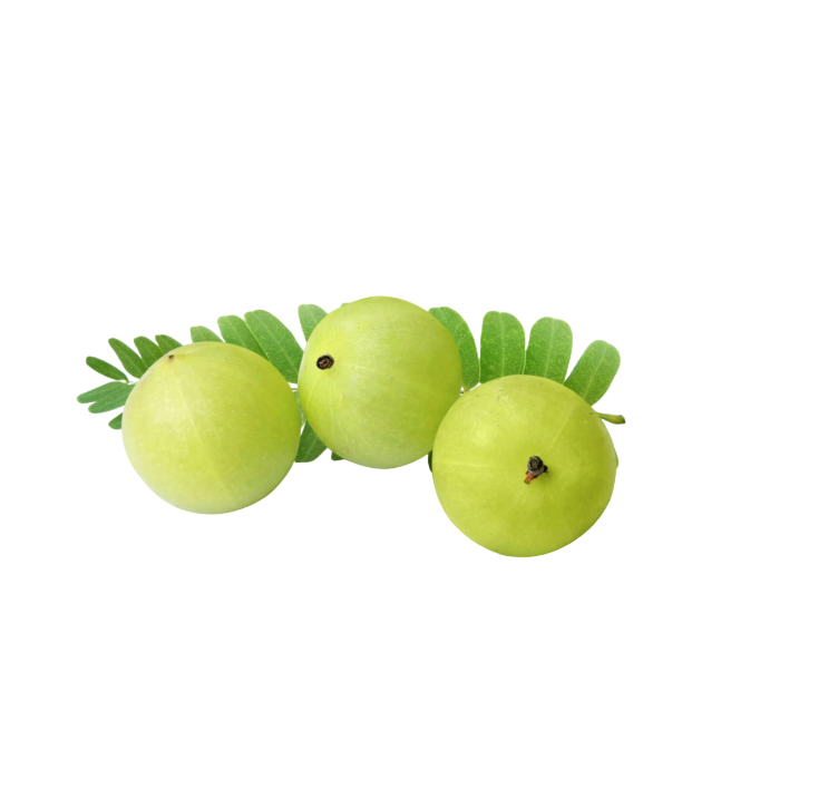Fresh Amla - Vitamin-C - 500g