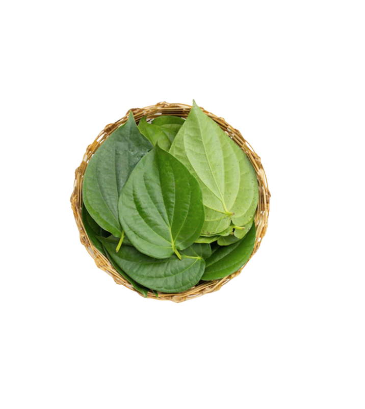 Fresh Betel/Paan Leaves - 25g