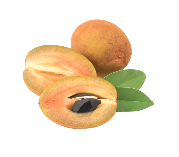 Fresh Chikoo - 500g