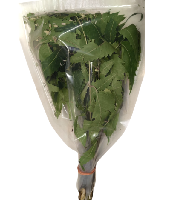 Fresh - Neem leaves (40-50g)