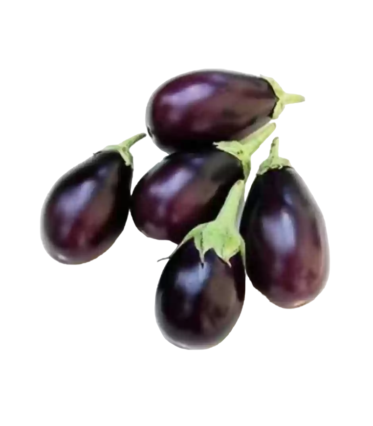 Fresh Purple Brinjal - Subscription, 500g