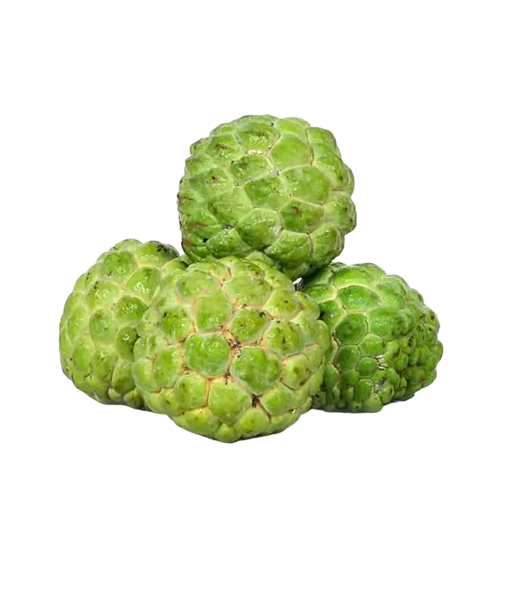 Fresh Custard Apple - 300–400g