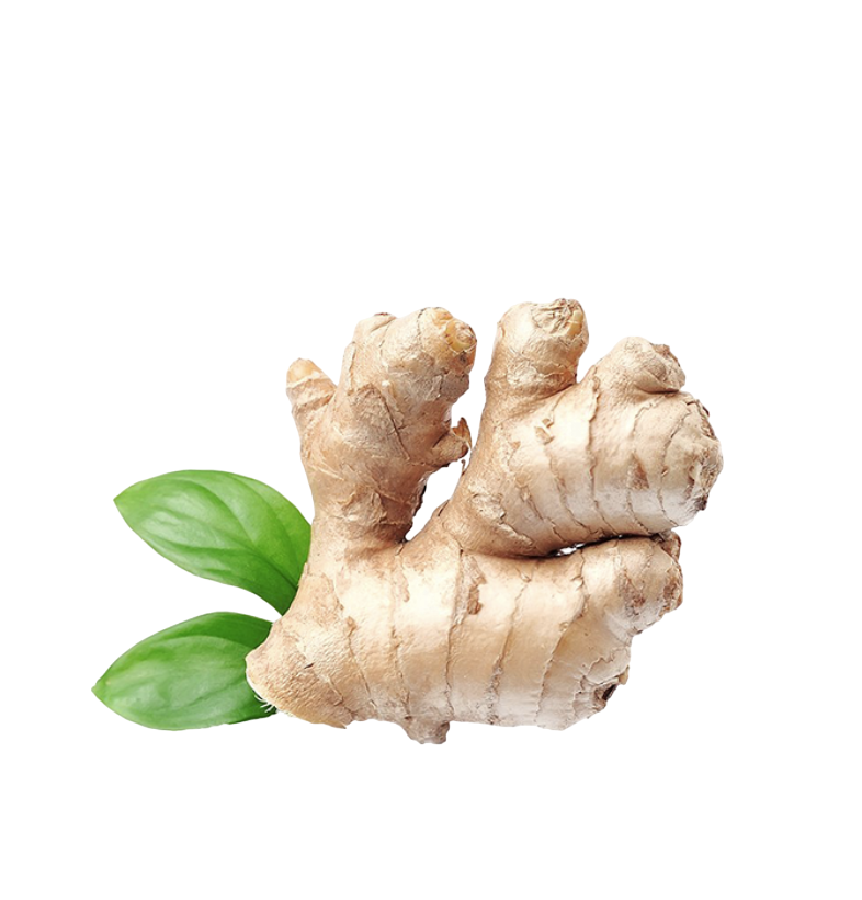 Fresh Ginger - 250g
