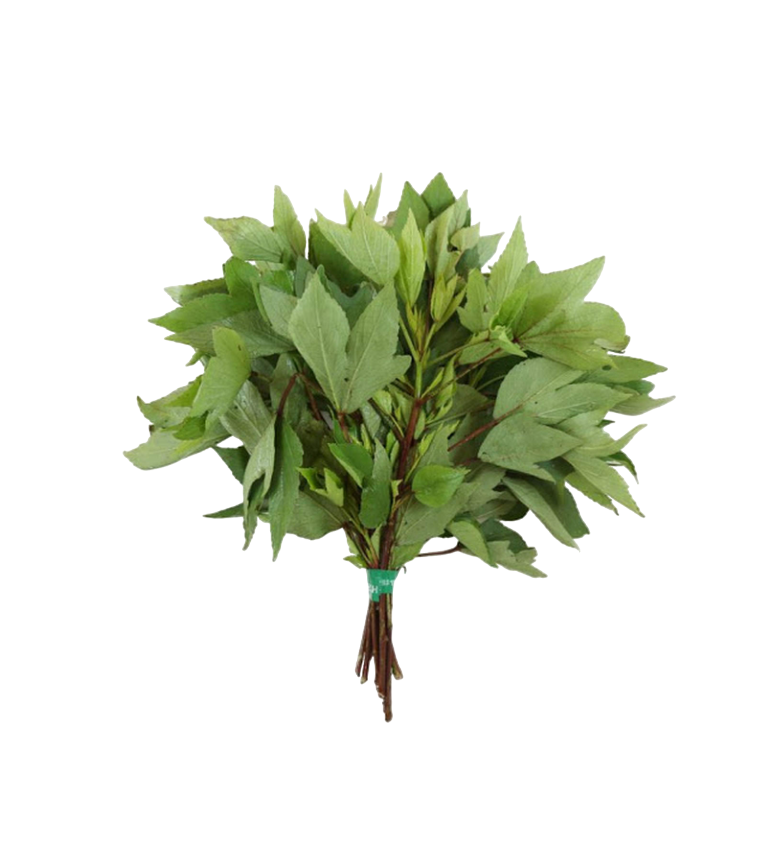 Fresh Roselle Leaves (Gongura) - 270g - 350g
