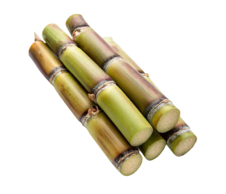 Fresh Sugar Cane - 500g