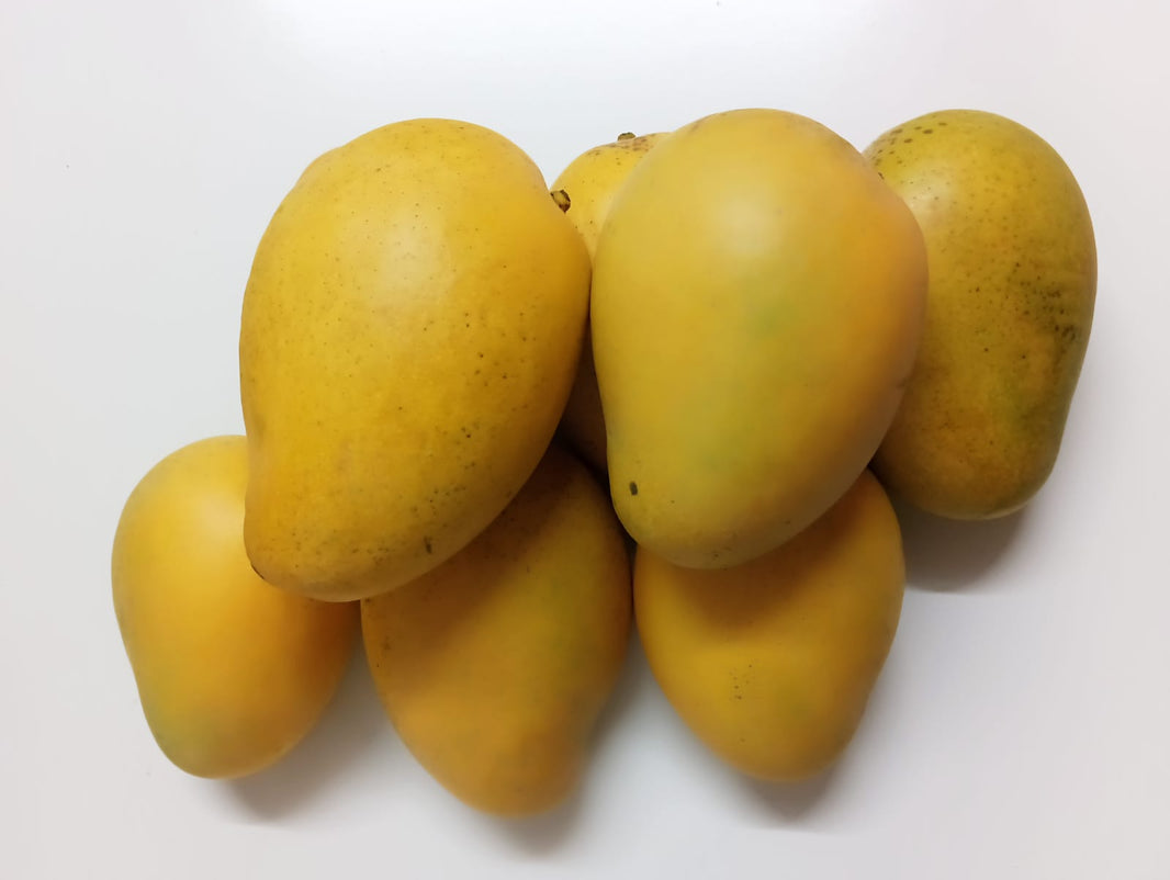 Fresh - Banginapalli Mangoes - 1kg (Pay on Delivery / Kg 12.99)