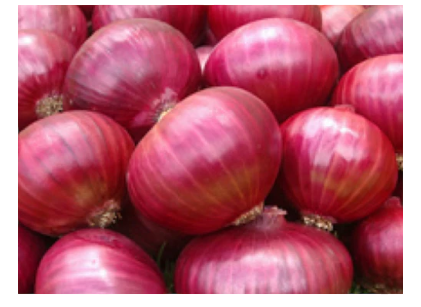 Big Red Onion (400-500g)