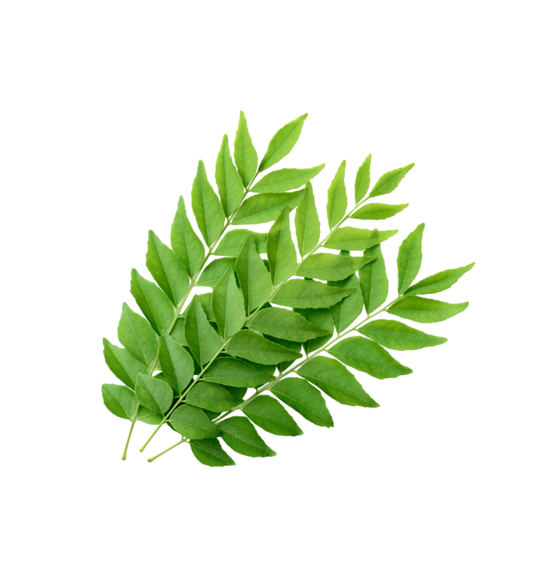 Fresh Curry Leaves - Subscription, 30g
