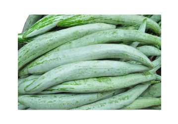 Snake Gourd (400-500g)