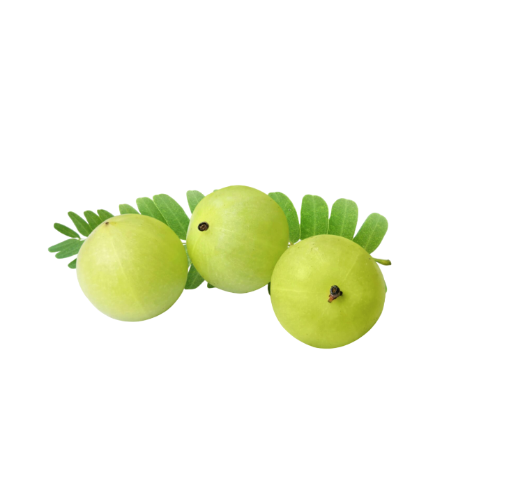 Fresh - Amla - 500g