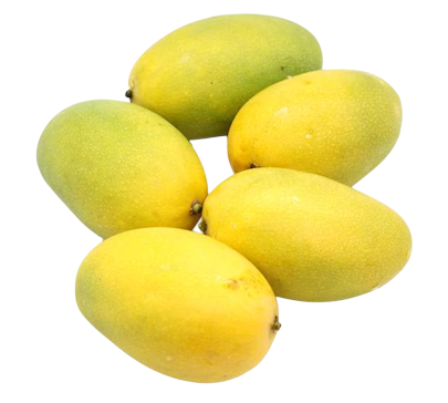 Fresh Badami Mangoes(Box) - 1.3kg - 1.5kg