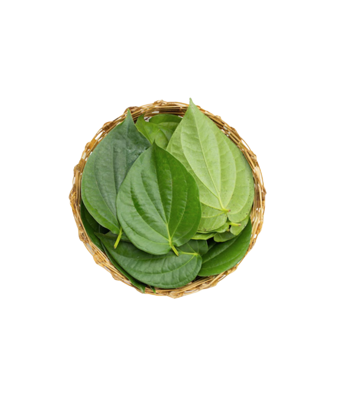 Fresh - Bettel/Paan leaves - 25g/5 leaves