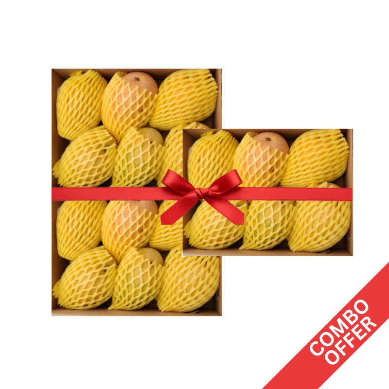 Fresh - Alphanso Mangoes(Box) - 1.3kg - 1.5kg (Combo of 3)