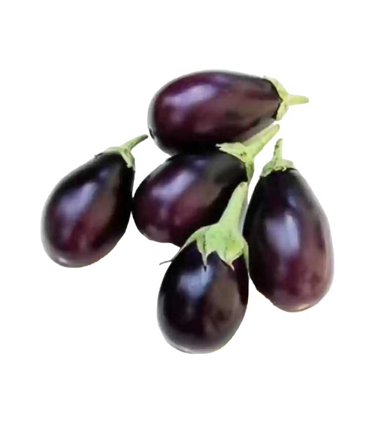 Fresh - Purple Brinjal - 500g