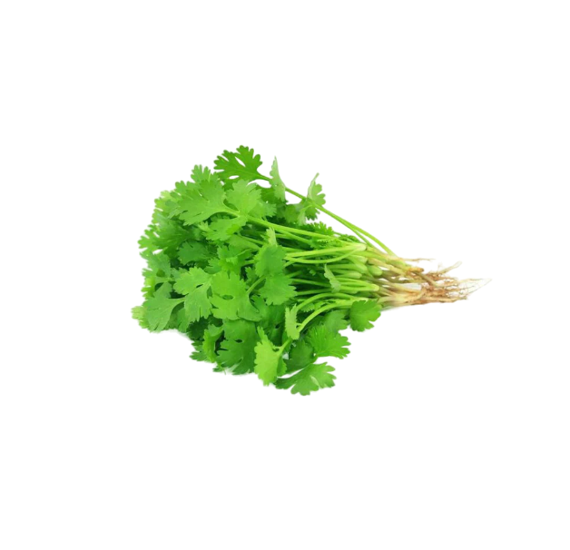 Fresh - Dhaniya - Leaves(Coriander - leaves) - 1pc