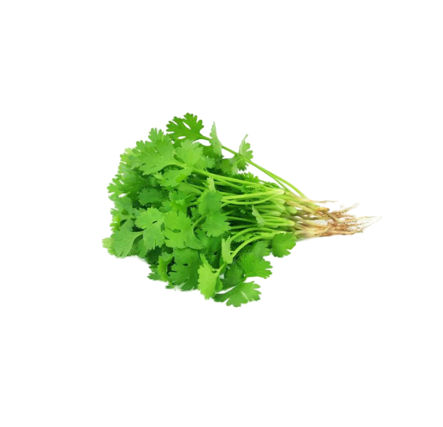Fresh Dhaniya Leaves (Coriander) - Subscription, 1pc