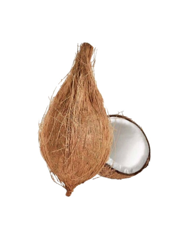 Fresh Pooja Coconut (India) - 1pc