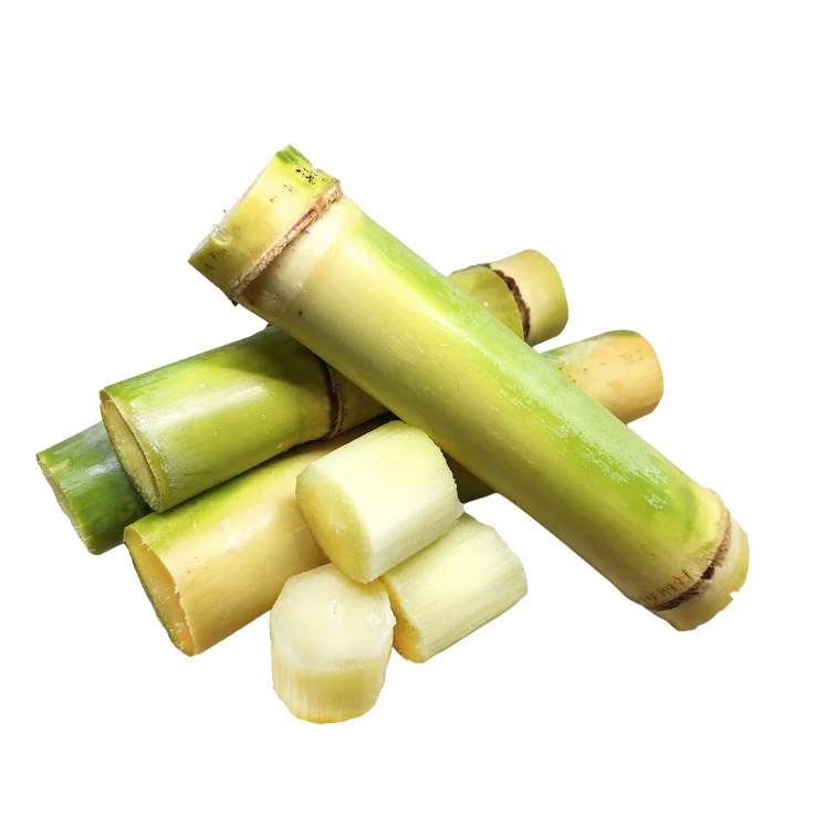 Fresh - Sugar Cane - 1pc