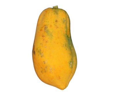 Fresh - Ripped Papaya - (1.5kg - 1.8kg)