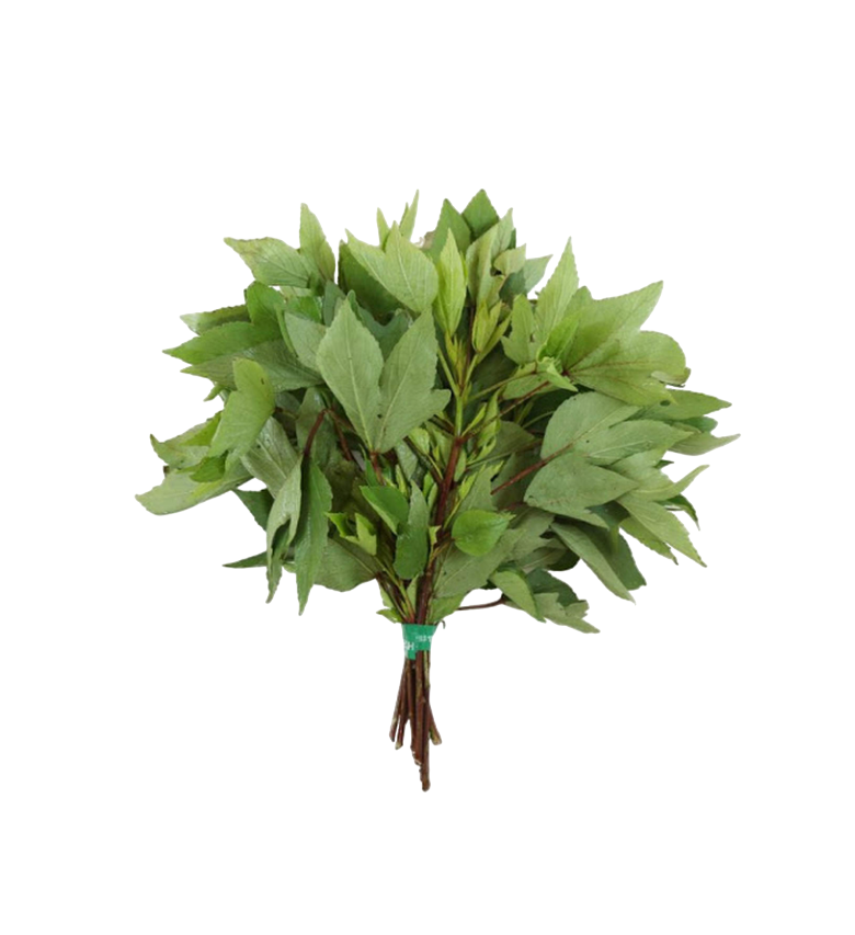 Fresh - Roselle leaves(Gongura) - (270gm - 350gm)