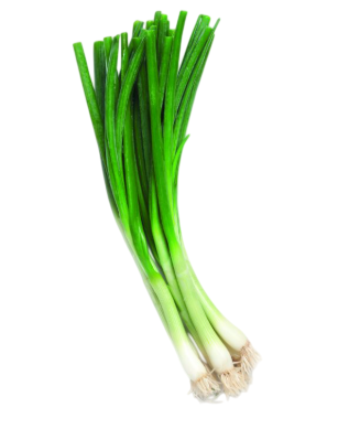 Fresh Spring Onion - 1 Bunch