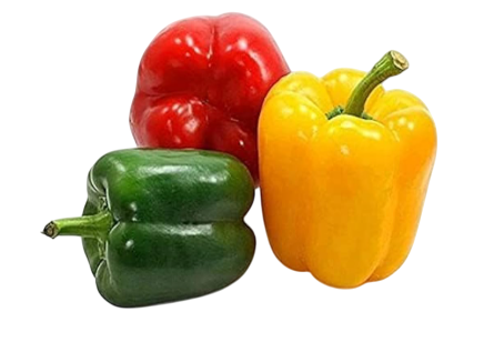 Fresh Capsicum - 1 pack