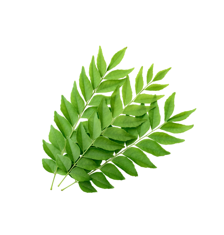 Fresh - Curry - leaves - 30g