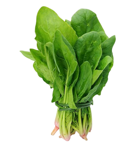 Spinach - 1 Bunch